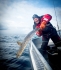 Havsfiskeguiden_catch_and_release