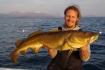 Dorschfischen in Norwegen