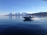 Angelboot in Frovåg auf Senja