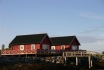Gardsøya Ferienhaus Nr. 6: Außenansicht bei herrlichstem Norwegenwetter