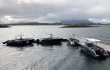 Mevaer-Boote-Hafen