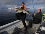 N-Molnarodden-marchfishing-cod100cm-4