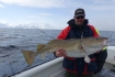 N-Molnarodden-marchfishing-cod121cm20kg-03