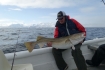 N-Molnarodden-marchfishing-cod121cm20kg-12