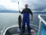 Angler im Glück am Ofotfjorden