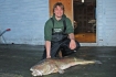 Dorsch 25kg Rotsund Seafishing