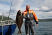 Heilbutt Rotsund Seafishing