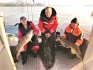 Rotsund Seafishing starkes Trio