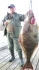 33kg Buttkracher aus Rotsund Seafishing