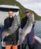 Doppelschlag Steinbeisser Rotsund Seafishing