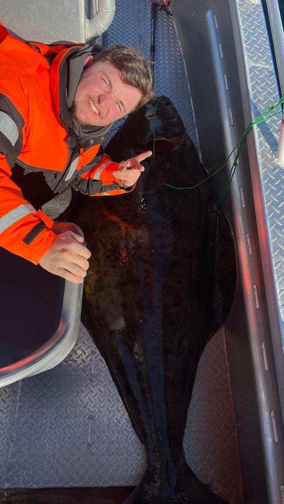 Riesenbutt in Amberfish am Kvalsund